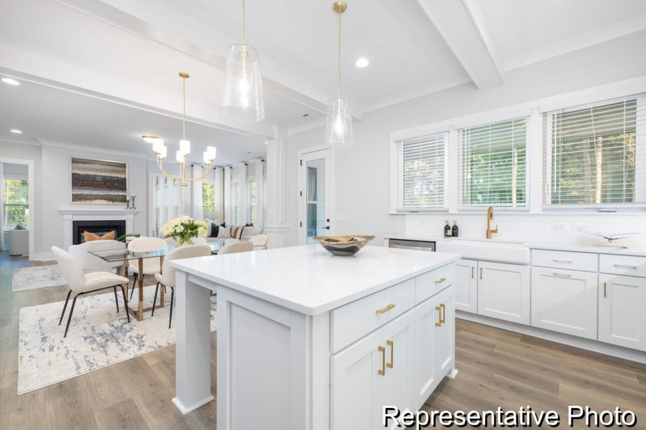 1131 Marsh Harrier Drive Photo 6