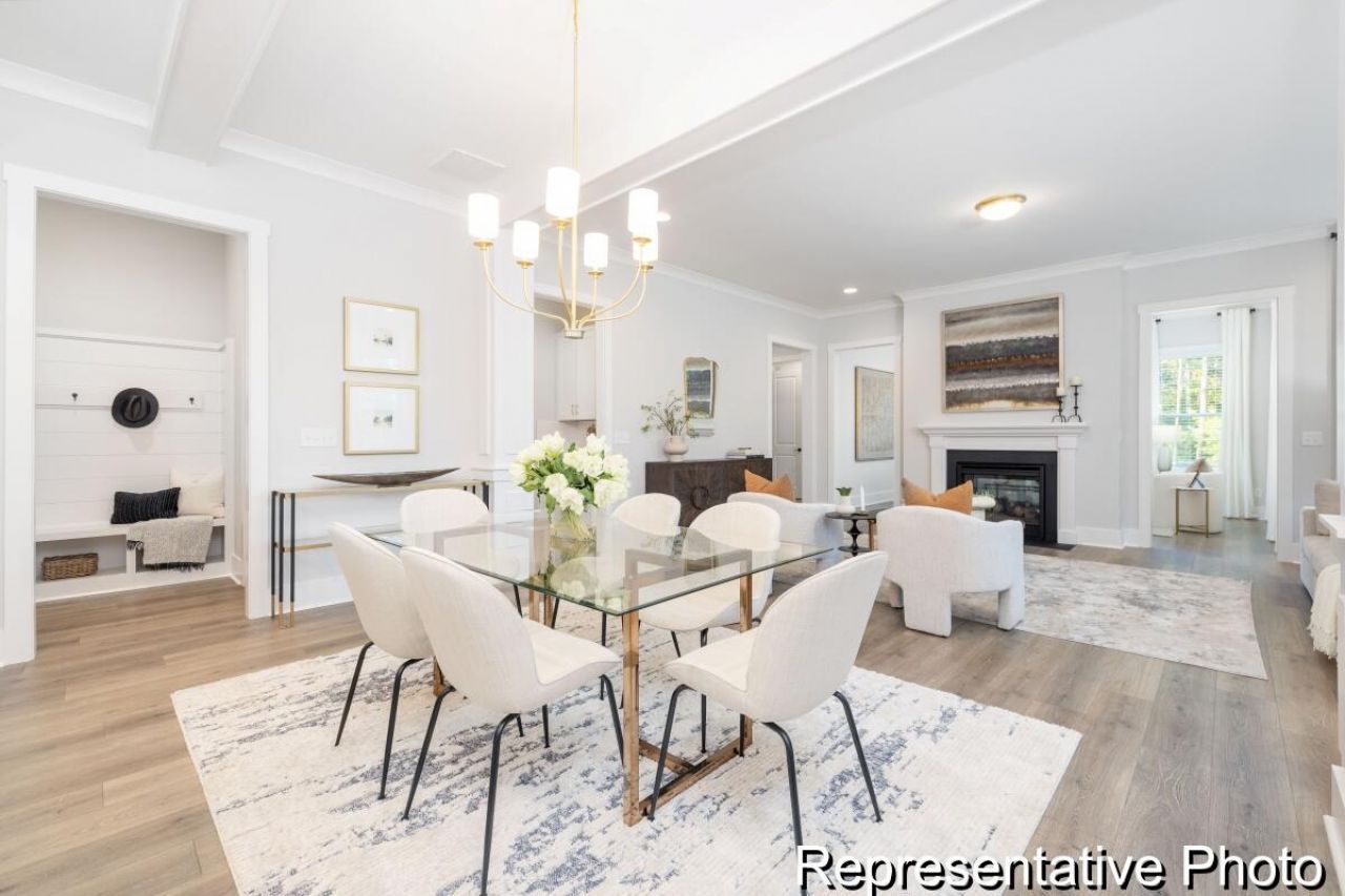 1131 Marsh Harrier Drive Photo 7