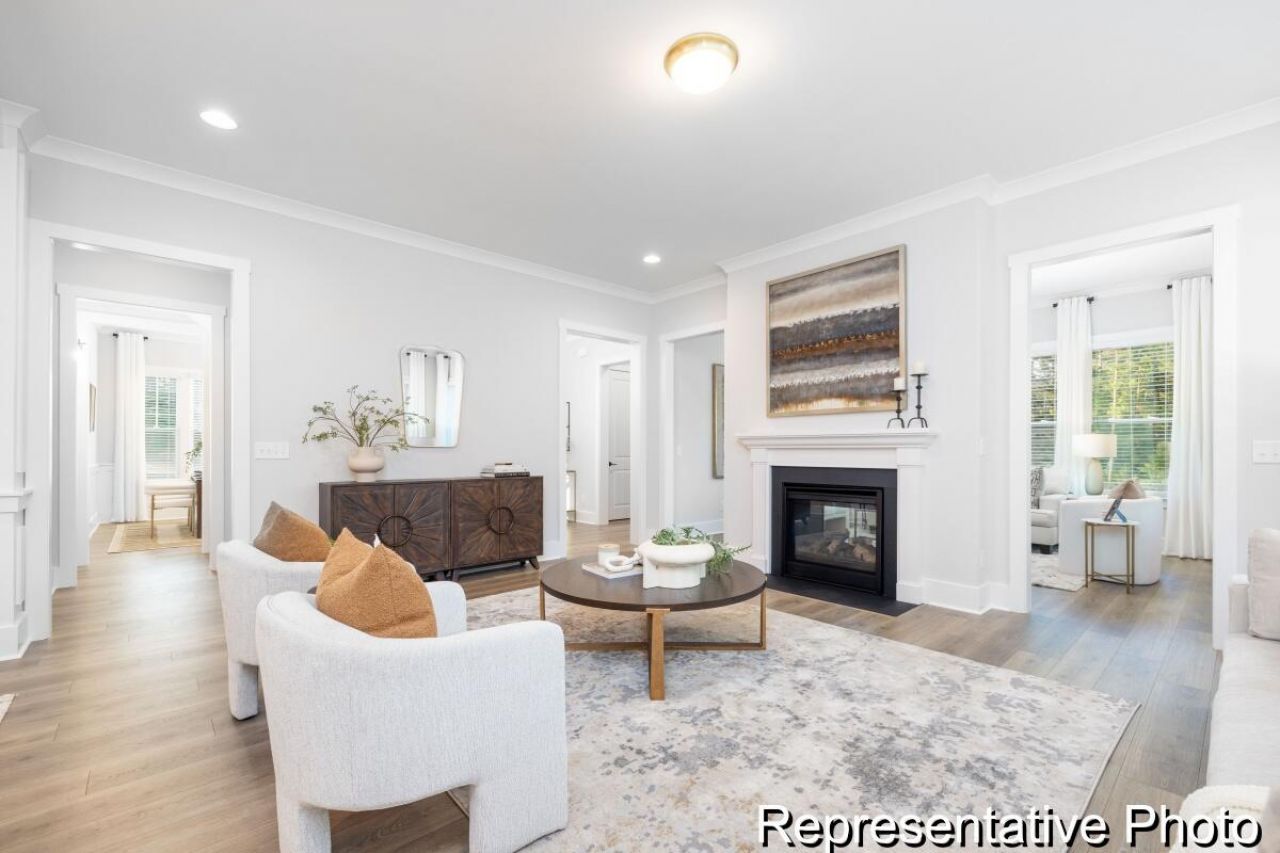 1131 Marsh Harrier Drive Photo 8