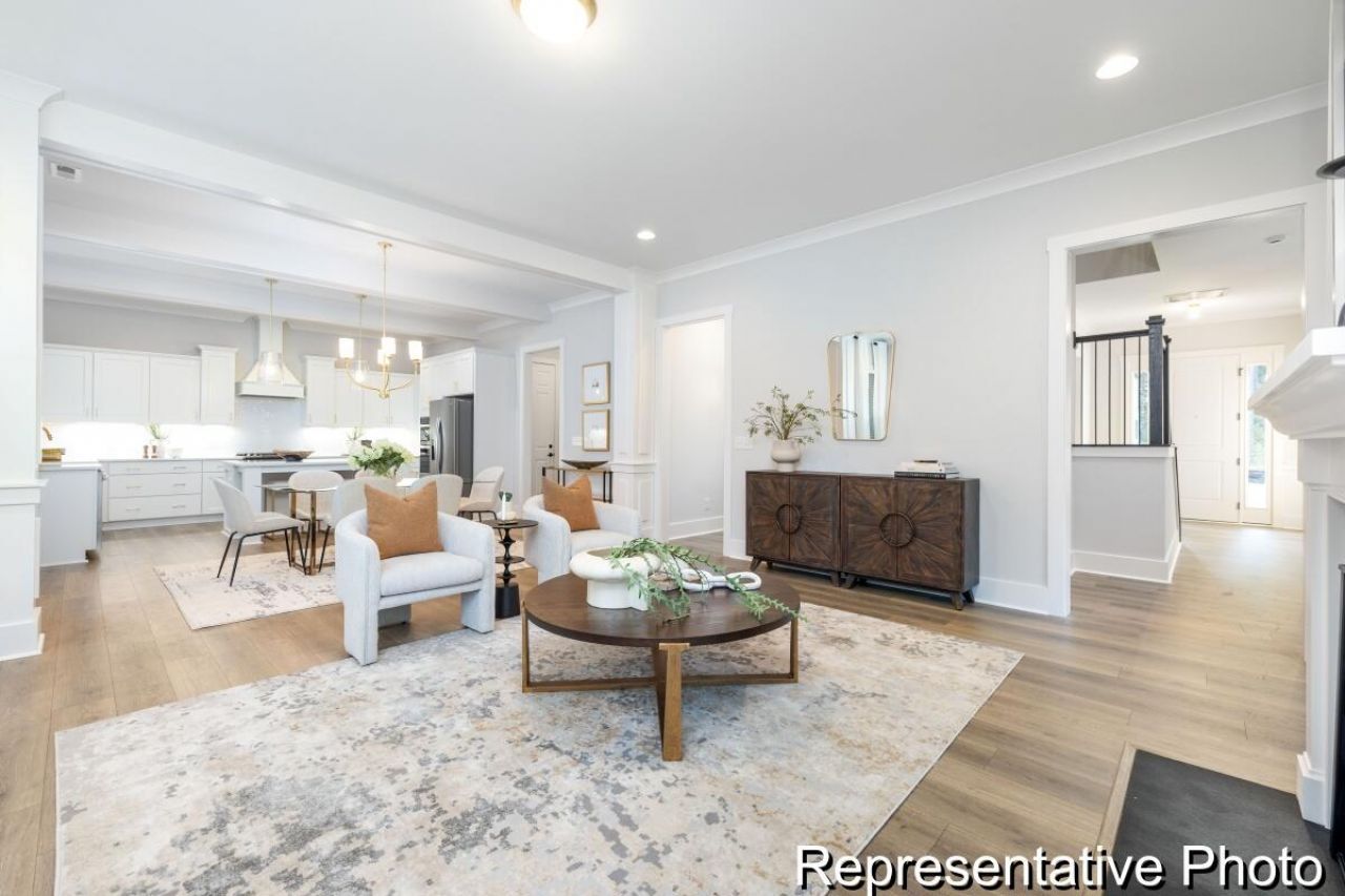 1131 Marsh Harrier Drive Photo 9