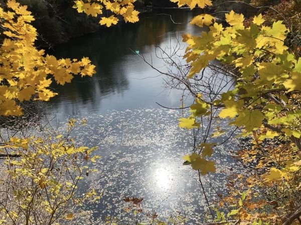 Lot 1 Old County Road, Rockland, ME 04841