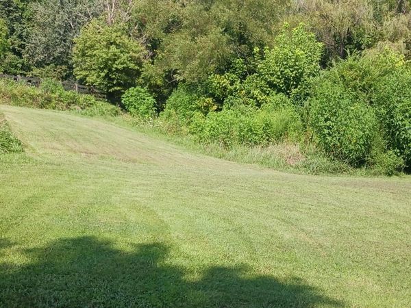 424 Buzzard Roost Road, Bulls Gap, TN 37711