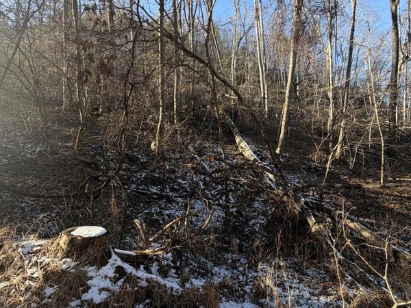 Tbd W Of Williams Lane, Butler, TN 37640