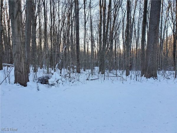 Geauga Lake Road, Chagrin Falls, OH 44023