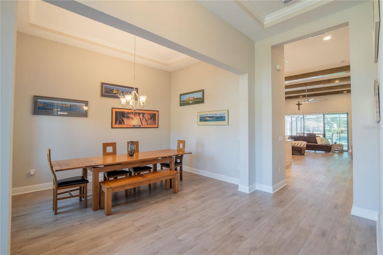 10304 Meadowrun Drive, Lithia, FL 33547 Photo