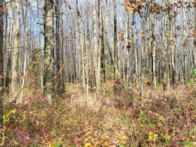 1670 Woodville Pike, Goshen, OH 45140 Photo 3