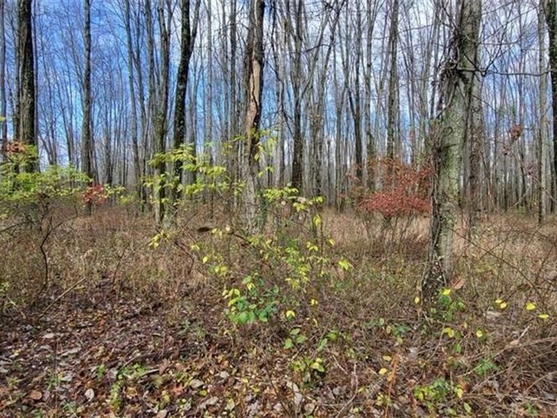 1670 Woodville Pike, Goshen, OH 45140 Photo 4