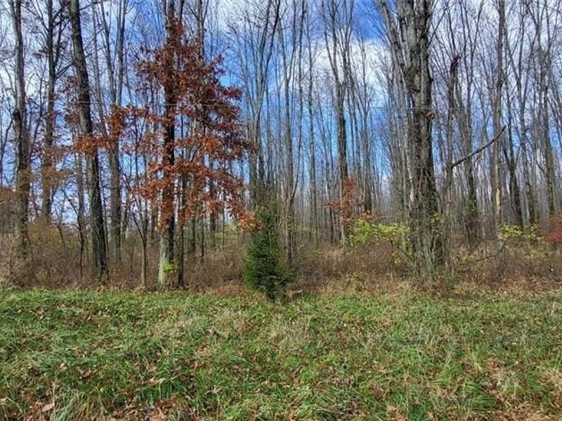 1670 Woodville Pike, Goshen, OH 45140 Photo 6