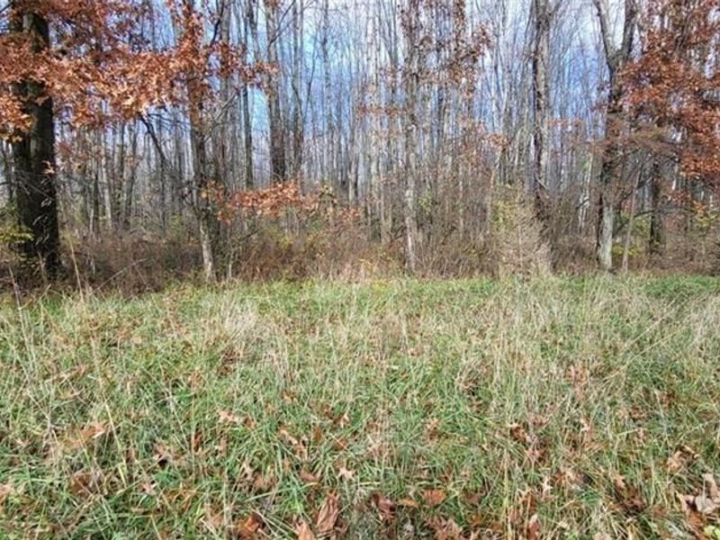 1670 Woodville Pike, Goshen, OH 45140 Photo 7