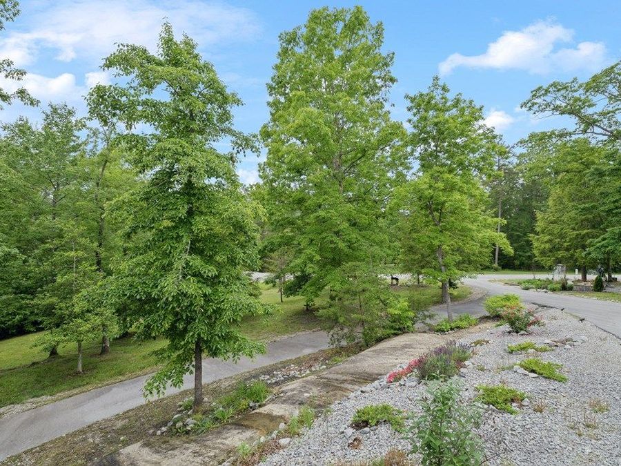Property Image 60