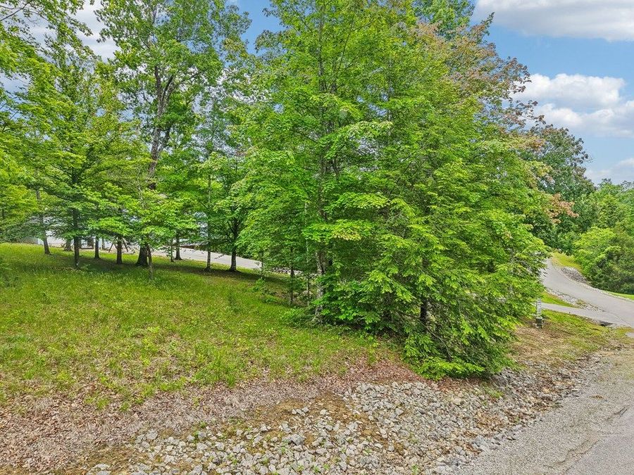 Property Image 62