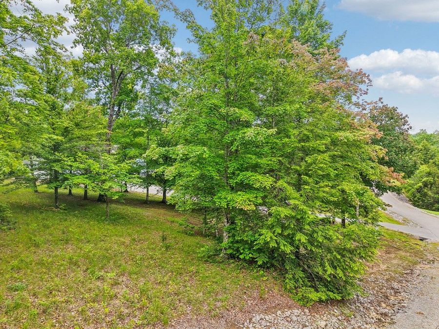 Property Image 63