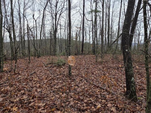 772 Eastridge Pass, Monterey, TN 38574