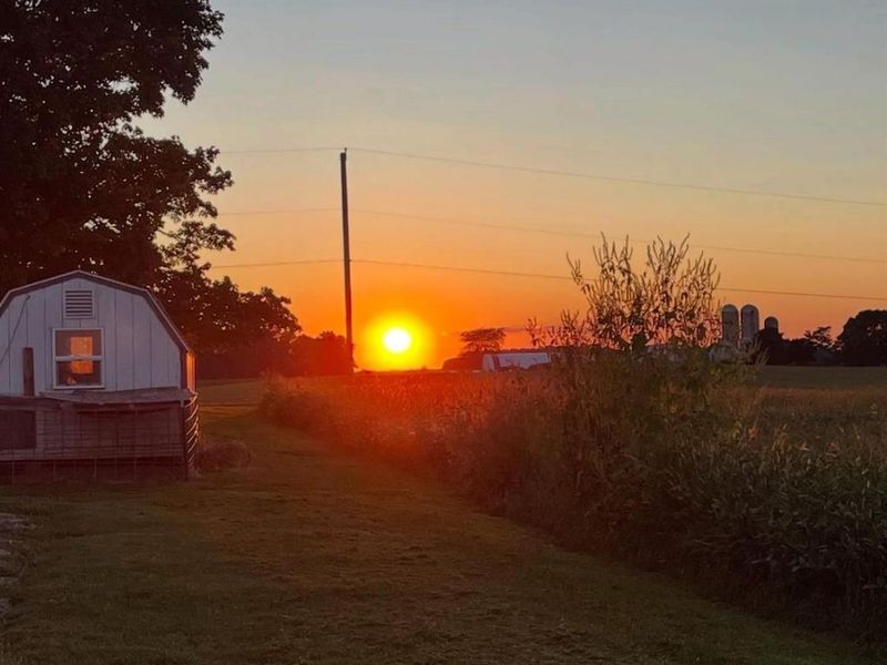 5170 Champion Road, Shelby, OH 44875 Photo 4