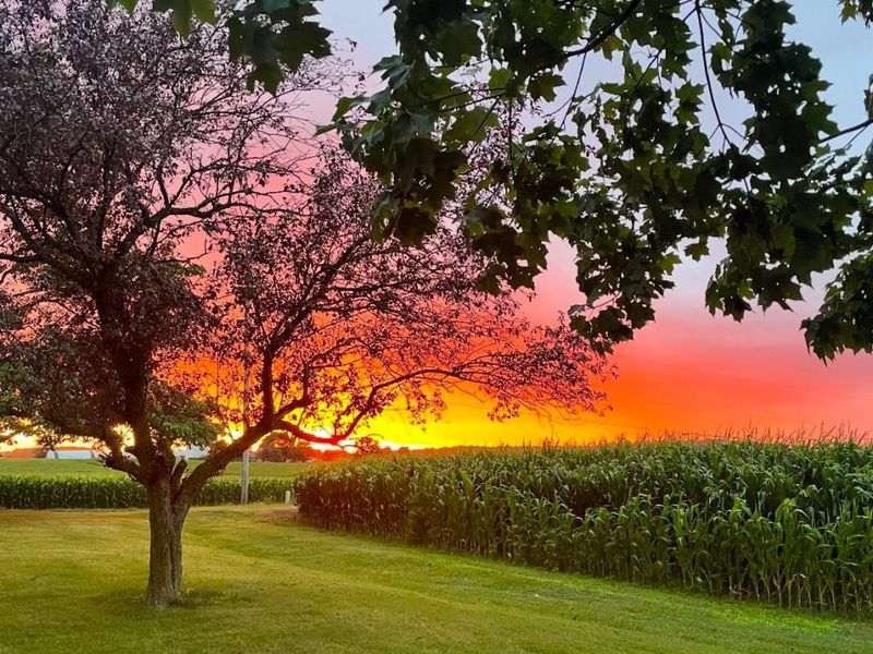 5170 Champion Road, Shelby, OH 44875 Photo 53