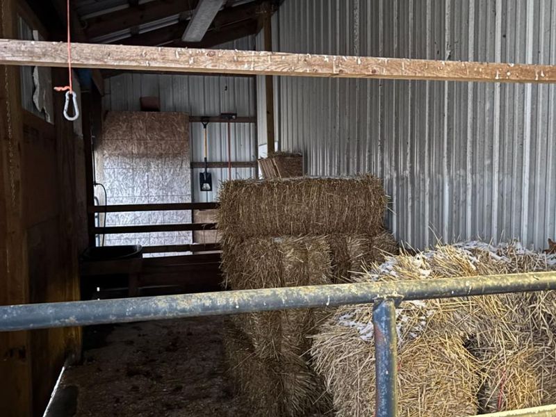 5170 Champion Road, Shelby, OH 44875 Photo 8