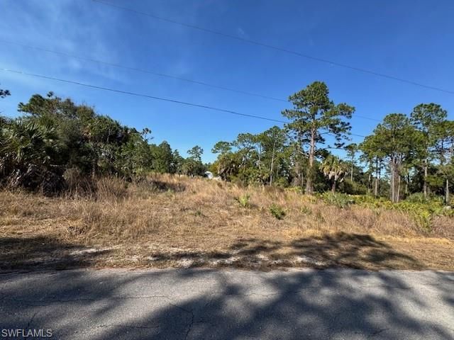 2117 Moore Ave , Alva, FL 33920 Photo