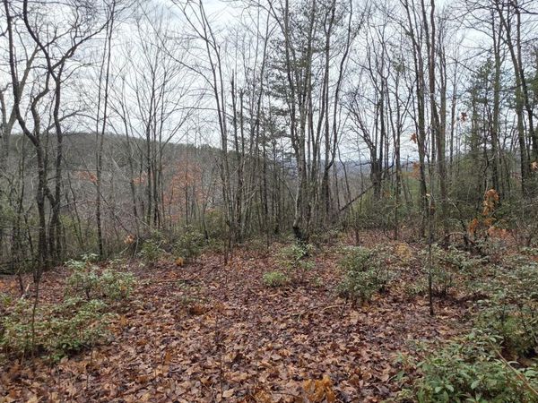 778 Eastridge Pass, Monterey, TN 38574