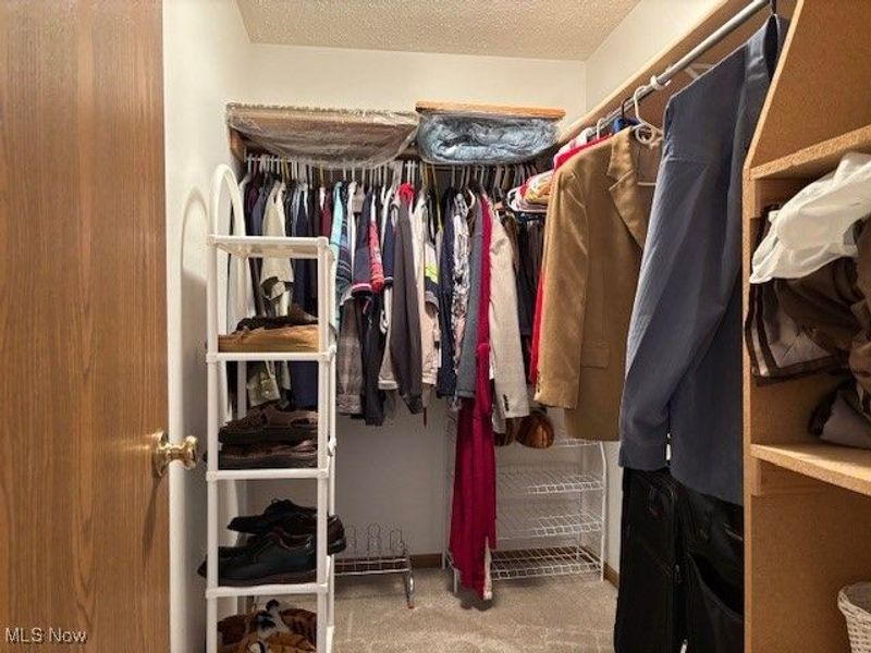 27 Bailey Street, Savannah, OH 44874 Photo 15