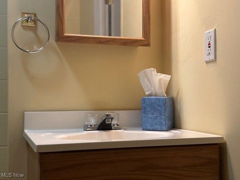 27 Bailey Street, Savannah, OH 44874 Photo 22