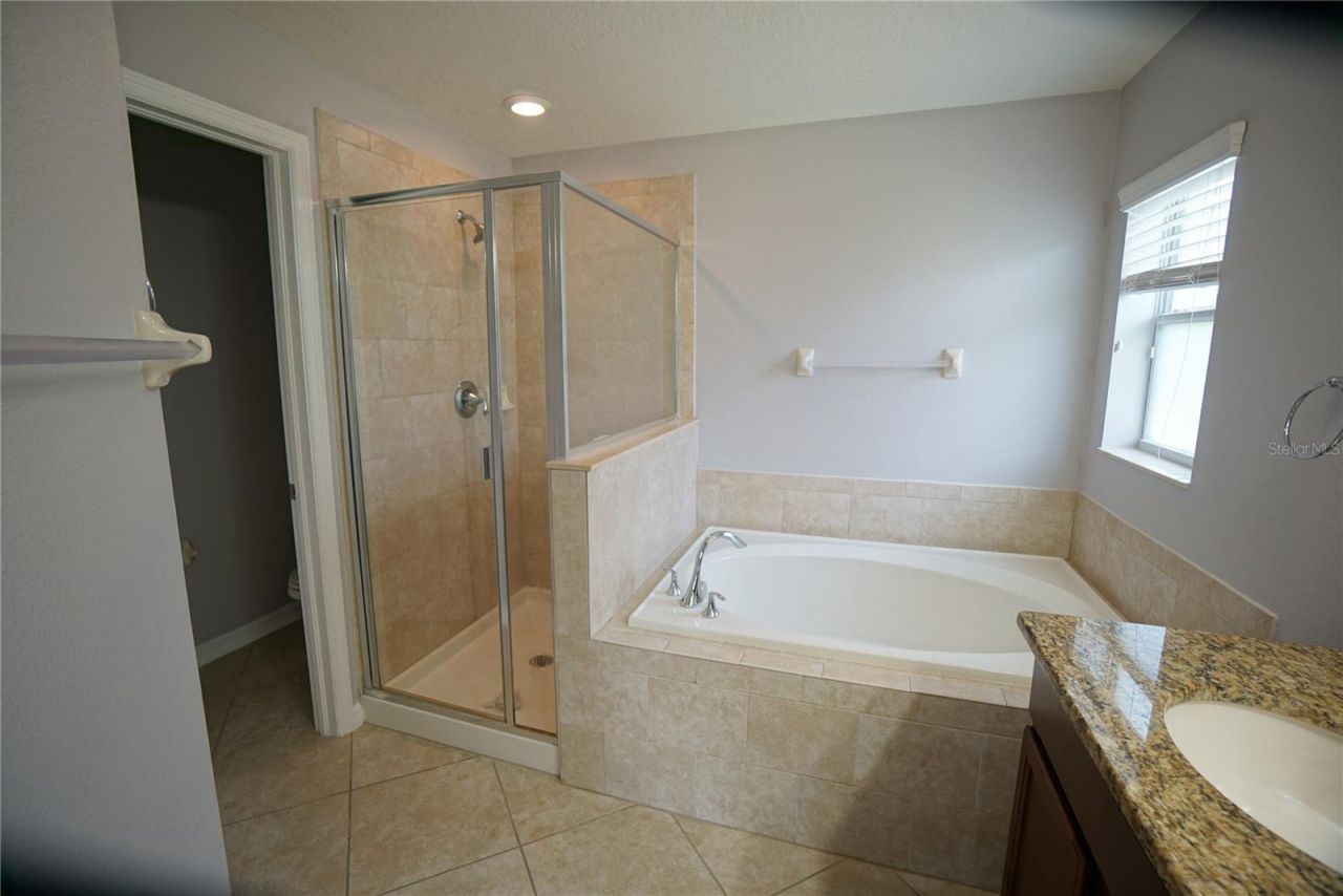 12337 Ballentrae Forest Drive, Riverview, FL 33579 Photo