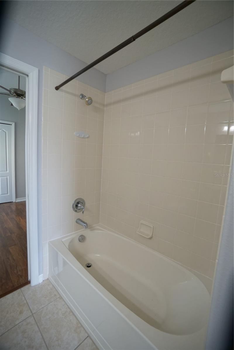 12337 Ballentrae Forest Drive, Riverview, FL 33579 Photo