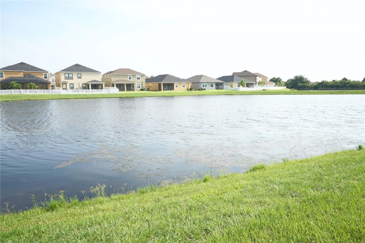 12337 Ballentrae Forest Drive, Riverview, FL 33579 Photo