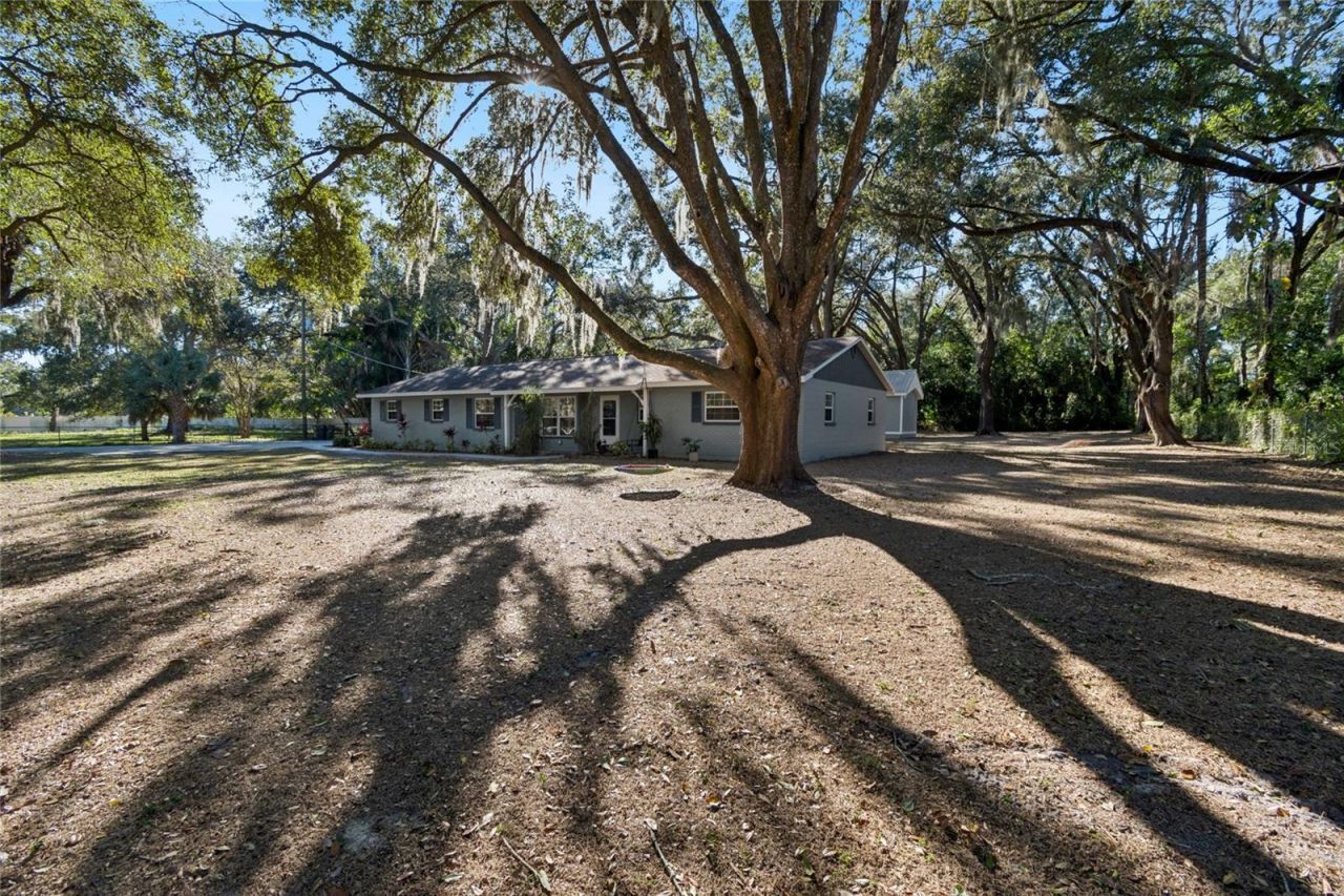 9628 Davis Road, Tampa, FL 33637 Photo