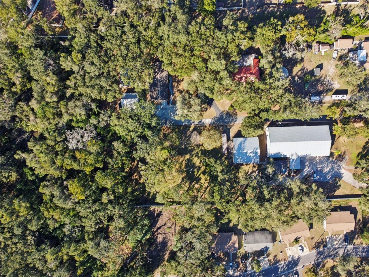 9628 Davis Road, Tampa, FL 33637 Photo