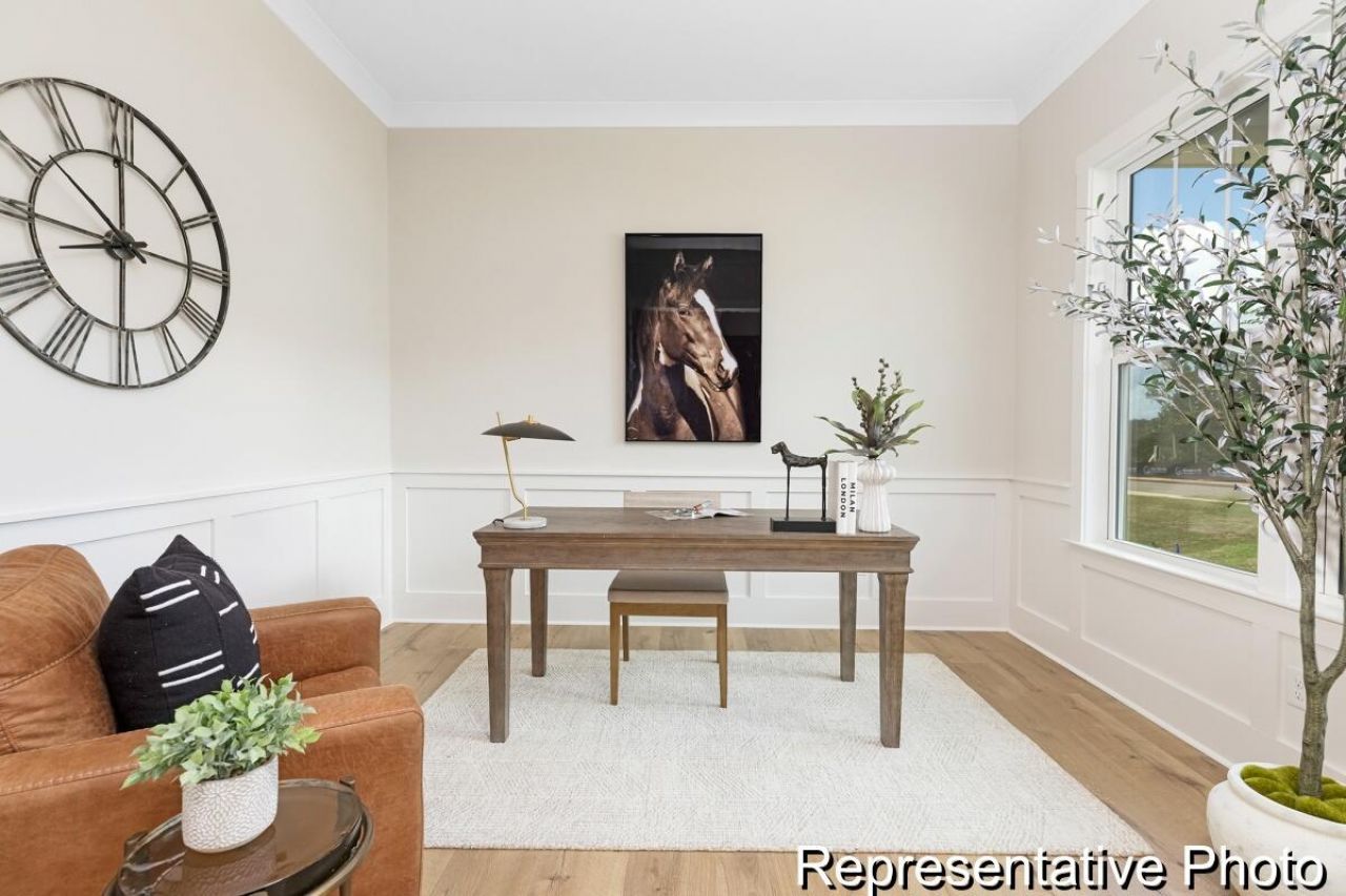 1135 Marsh Harrier Drive Photo 11