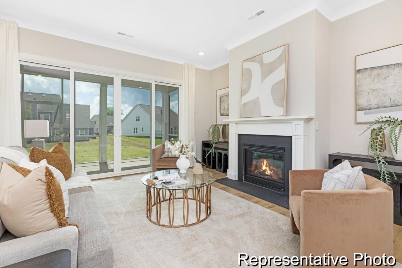 1135 Marsh Harrier Drive Photo 14