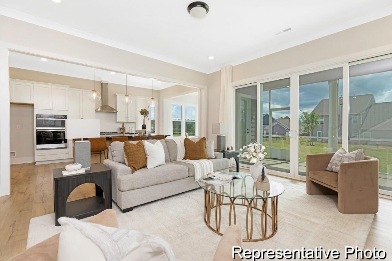 1135 Marsh Harrier Drive Photo 18