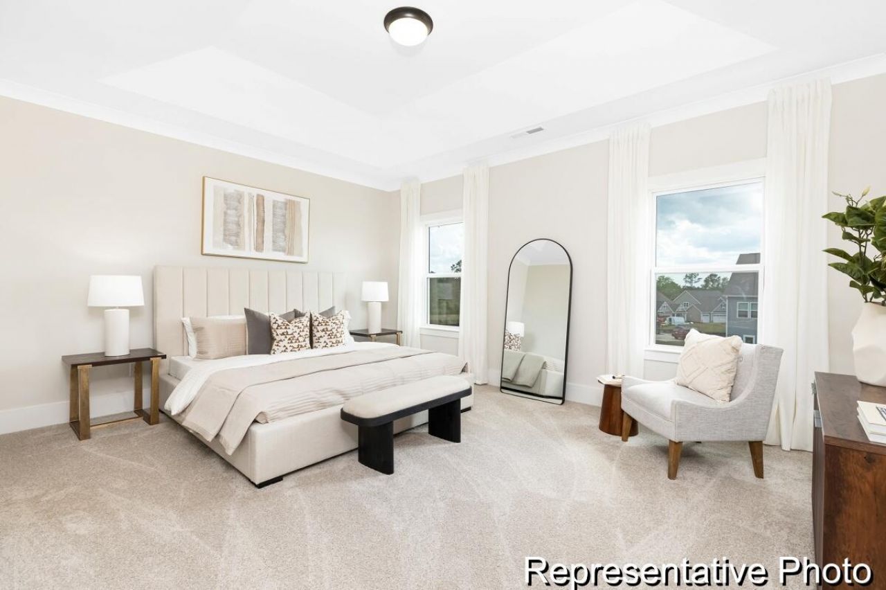 1135 Marsh Harrier Drive Photo 21