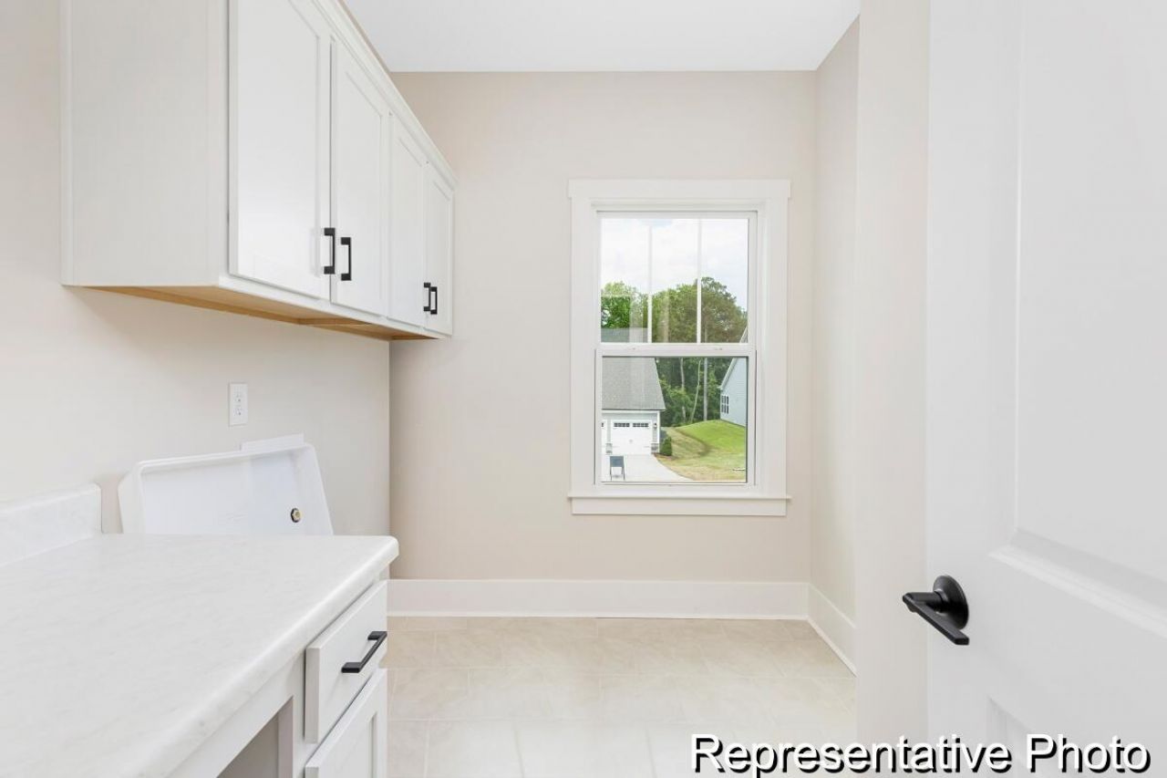 1135 Marsh Harrier Drive Photo 36