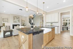 1135 Marsh Harrier Drive photo 4