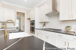 1135 Marsh Harrier Drive photo 4