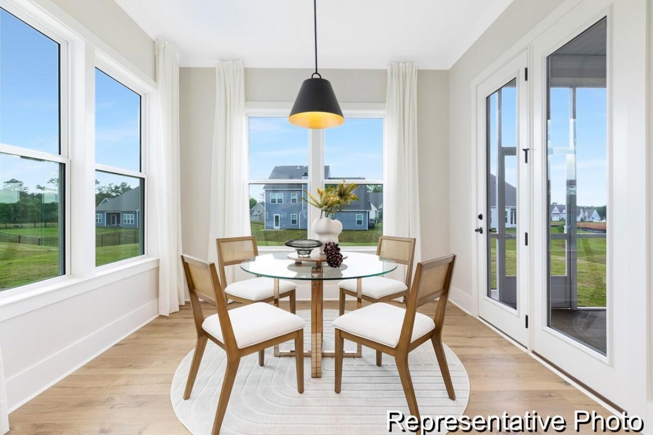 1135 Marsh Harrier Drive Photo 7