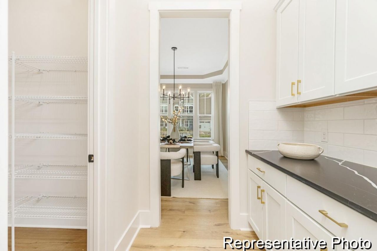 1135 Marsh Harrier Drive Photo 8