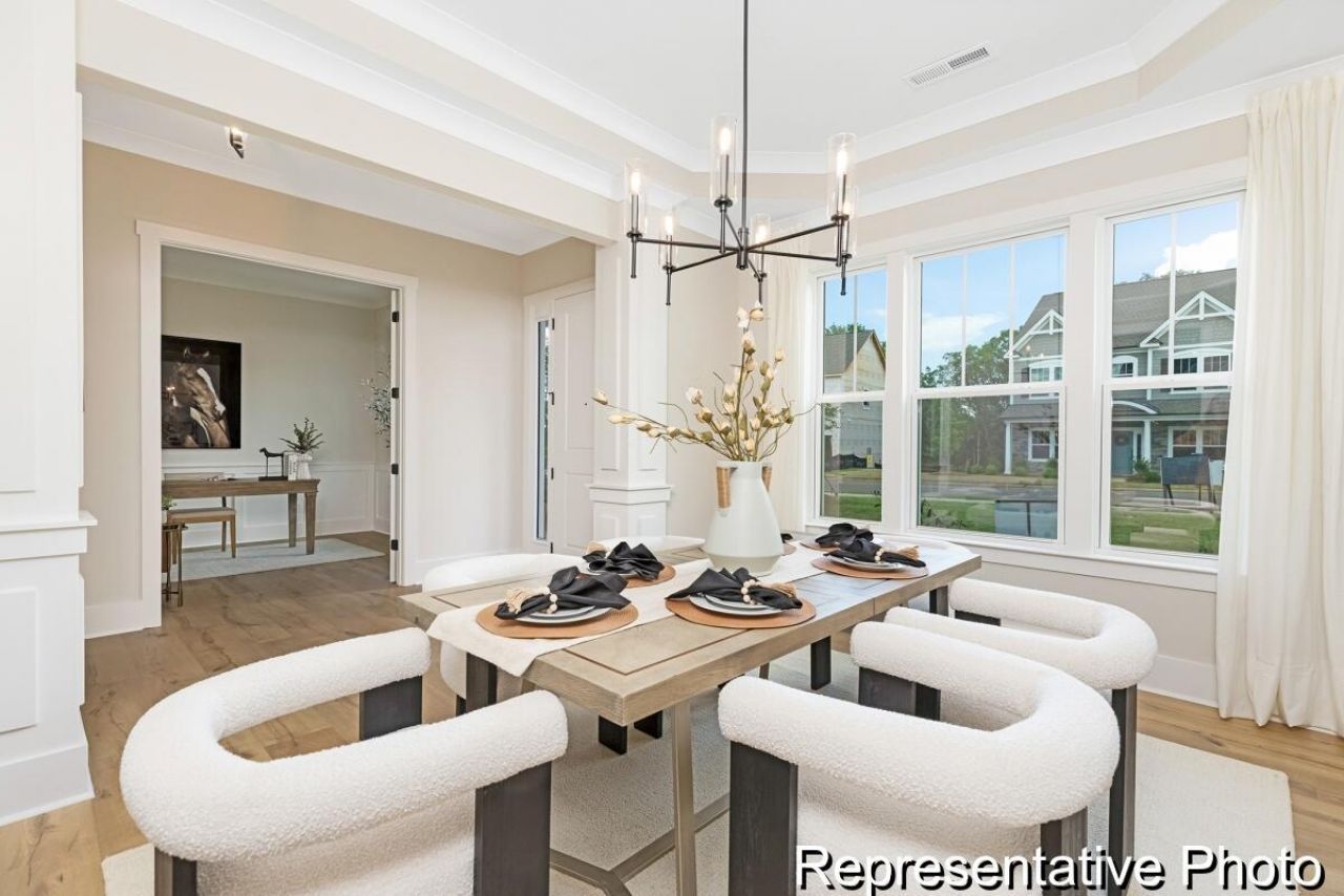 1135 Marsh Harrier Drive Photo 9