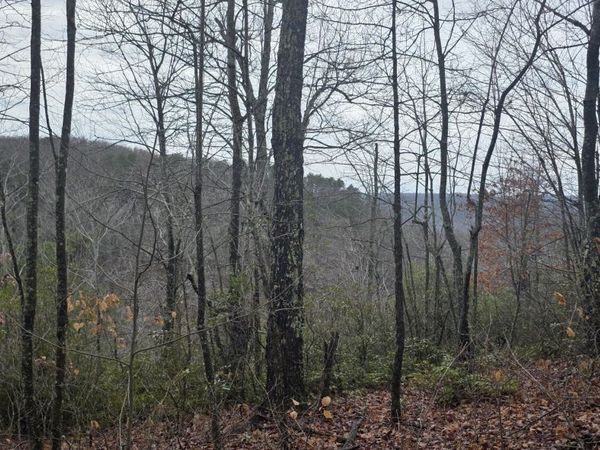 786 Eastridge Pass, Monterey, TN 38574