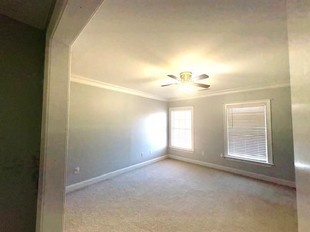 4310 Enoch Rd. Photo 22