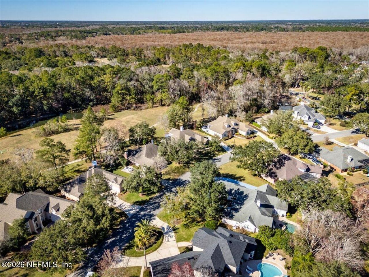 586 Thornwood Lane, Orange Park, FL 32073 Photo