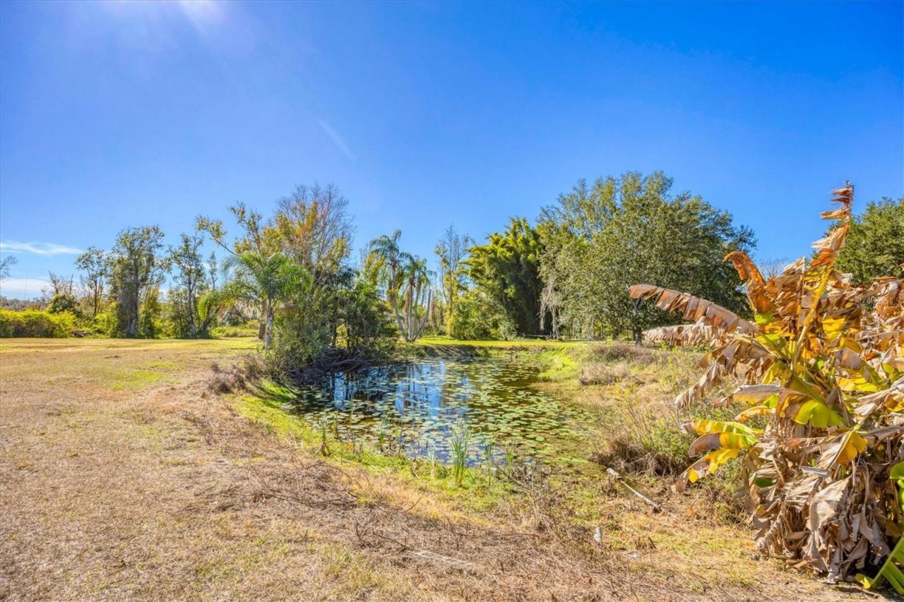 24610 State Road 64 E, Myakka City, FL 34251 Photo