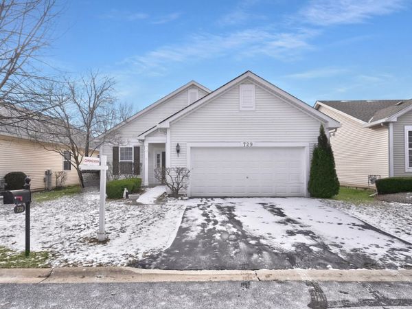 729 S Mecosta Lane, Romeoville, IL 60446