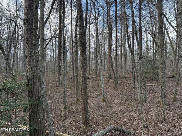 N Laurel Loop, Monterey, TN 38574