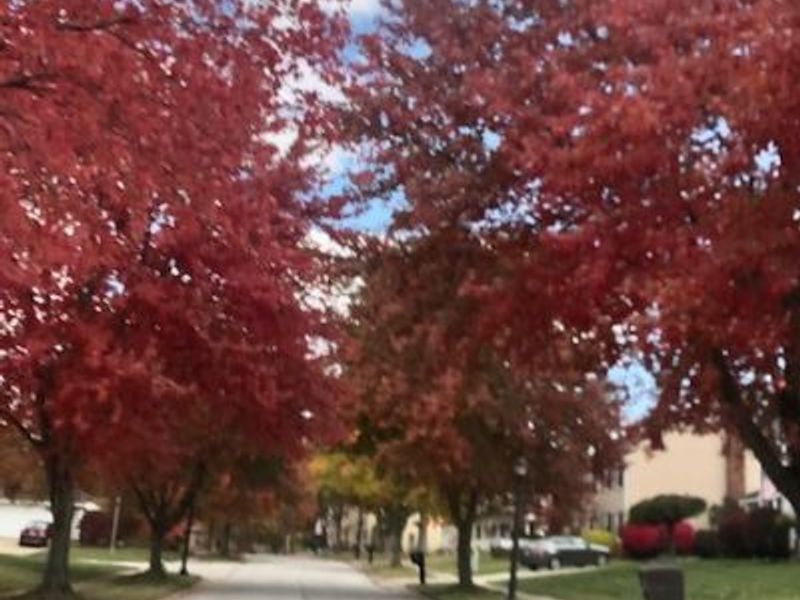 2090 Sand Run Knolls Drive, Akron, OH 44313 Photo 43