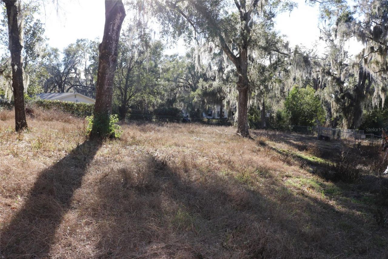 401 S Pine Avenue, Inverness, FL 34452 Photo