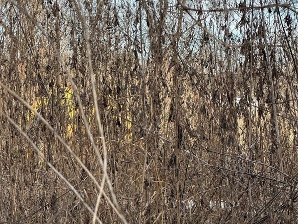 0 US Hwy 77 , Davis, OK 73030