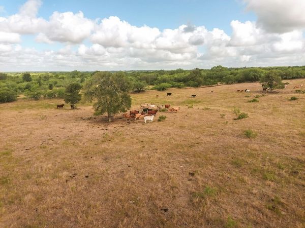 TBD County Road 446, Waelder, TX 78959