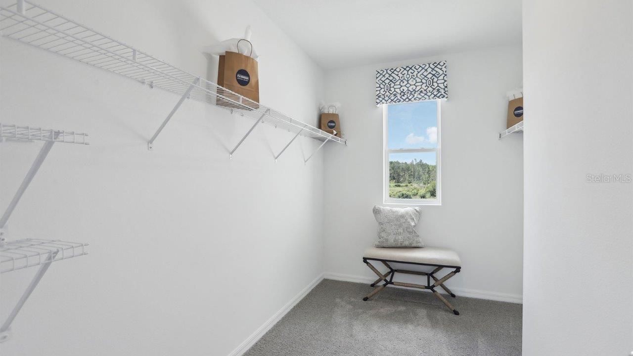 15168 Crosshall Stream Drive, Wimauma, FL 33598 Photo